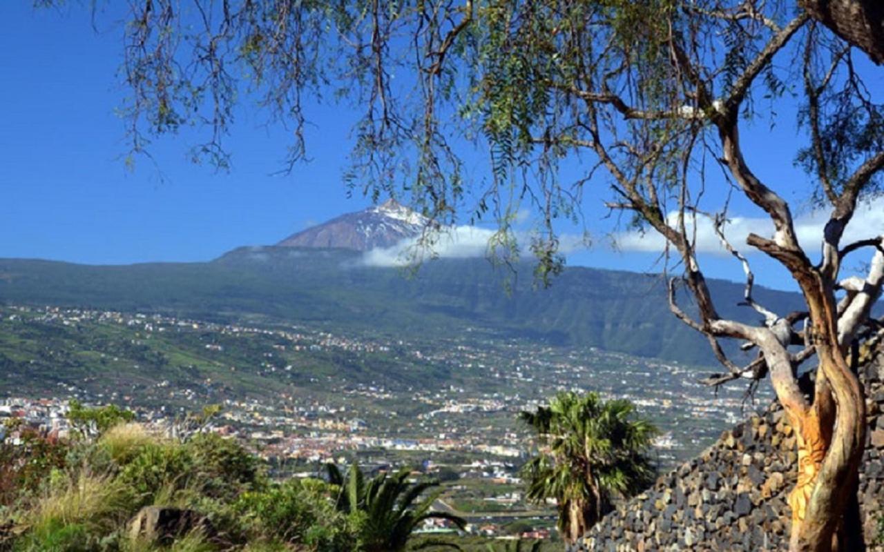 La Casita De Descanso - Das Haeuschen Der Ruhe - La Luz - La Orotava Exteriör bild